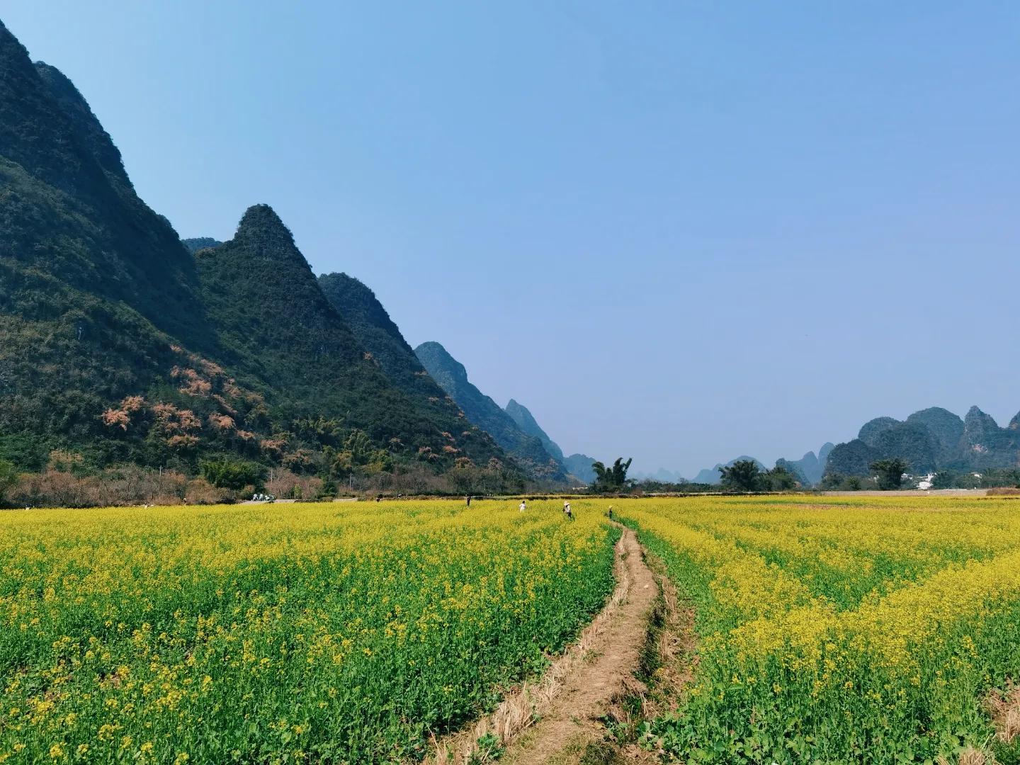 阳朔遇龙河旅游最新指南