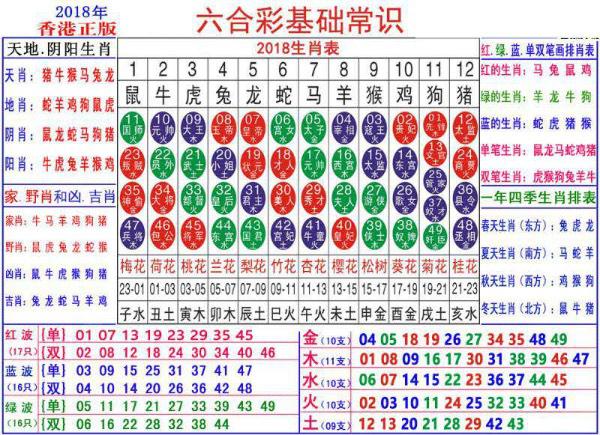 澳门正版资料大全资料生肖卡，构建解答解释落实_w811.20.43